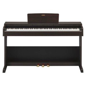 Piano digital Arius Incluye adaptador PA150 Rosewood